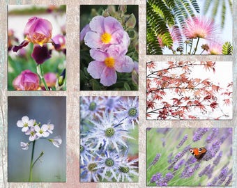 Zestaw 7 pocztówek z kwiatami i roślinami, zestaw pocztówek, kartka z życzeniami o kwiatach, postcrossing.
