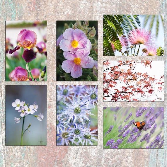 Lot de 7 cartes postales fleurs et végétaux , set cartes postales , carte de voeux fleur, postcrossing,