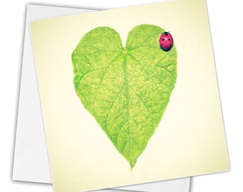 Heart and ladybug greeting card, customizable, pretty heart greeting card, friendship card, flower postcard, postcard,