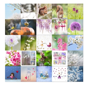 Lot de 20 cartes postales biologiques photos fleurs, animaux, nature, lot de cartes postales en promotion, postcrossing, carte format carré,