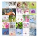 see more listings in the All section