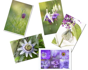 5 cartes postales fleurs violette des parcs et jardins, carterie botanique, lot de cartes photos jardin, carte postale passiflore, photo,