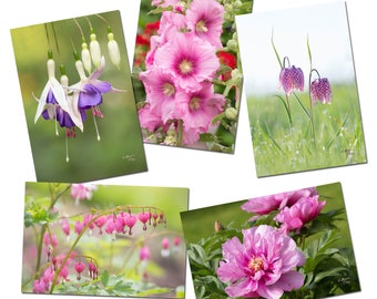 Set of 5 pink and purple flower postcards, set of flower postcards, flower photo, botanical cards, gardener, flowers,