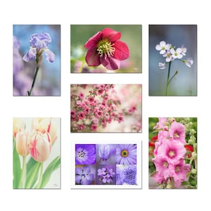7 Flower Postcards, set of postcards, flower photos, botanical postcards, gardener gift, organic,