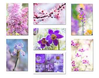 7 Flower Postcards, set of postcards, photos of flowers, botanical postcards, gardener gift, organic,