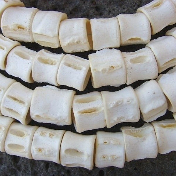 Fish vertebrae - size M - FV03
