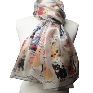 FRAAS SCHAL - Sciarpa - off white/bianco
