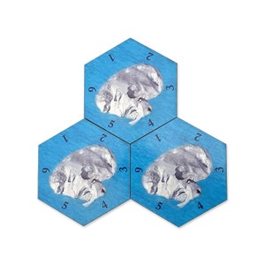 Iceberg Replacement Sea Hex 3-Pack compatible with Catan&#39;s Seafarers and Settlers of Catan Expansions
