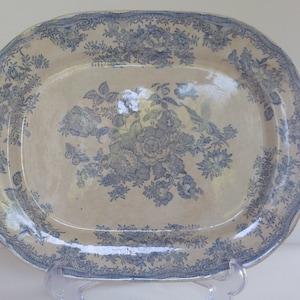 Rare Antique Asiatic Pheasants X LARGE 14.5&quot; Serving Platter c1900s