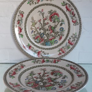 Pair Johnson Bros England &quot;Indian Tree&#39;&quot; Pattern 9&quot; Plates