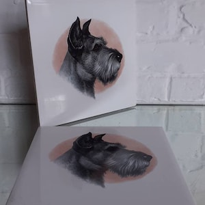 Può includere: Due piastrelle quadrate in ceramica con un'illustrazione di uno Schnauzer. Il cane è raffigurato in grigio e nero, su un cerchio rosa. Le piastrelle hanno una finitura bianca lucida. Ogni piastrella misura circa 15 cm x 15 cm.