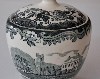 Rare Avon Scenes Palissy 1790 Royal Worcester Ltd Green + White Lidded Sugar Bowl!