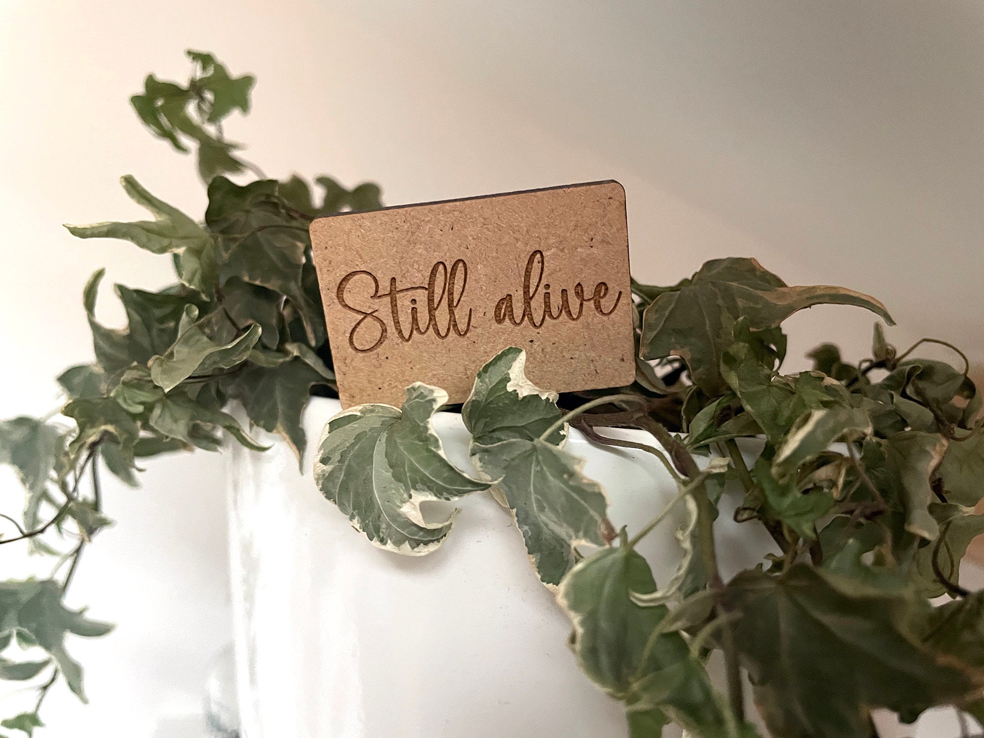 Plant Label Still Alive Humor Still Alive Flower Etsy Ireland