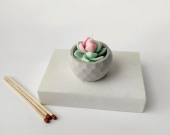Succulent Tea Light Candle in Cement Jar – Handmade Mini Scented Candle – Fresh Scent – Decorative Gift Idea, Buy 2, Save 20%