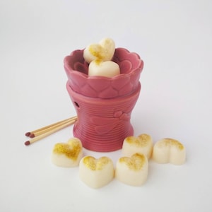 Wax melts de cera de soja Salted Grapefruit, Veganos y ecofriendly, Pastillas de cera para quemador, Cera perfumada cítrica para verano