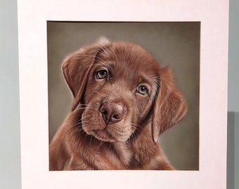 Retratos de mascotas, Regalos para amantes de las mascotas, Pinturas de perros personalizadas, Dibujos realistas de perros a lápiz, Retrato de mascota a partir de una foto, Foto de mascota para dibujar, Pintura de arte de perro