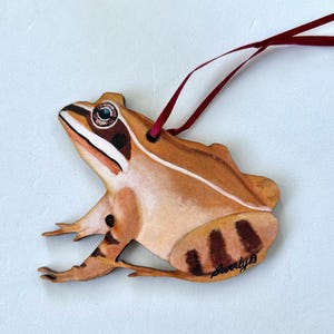 Wood Frog, Ornament by Beverly Osborne