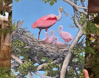 Splendide stampe giclée su tela di una Spatola rosata con nido di pulcini.