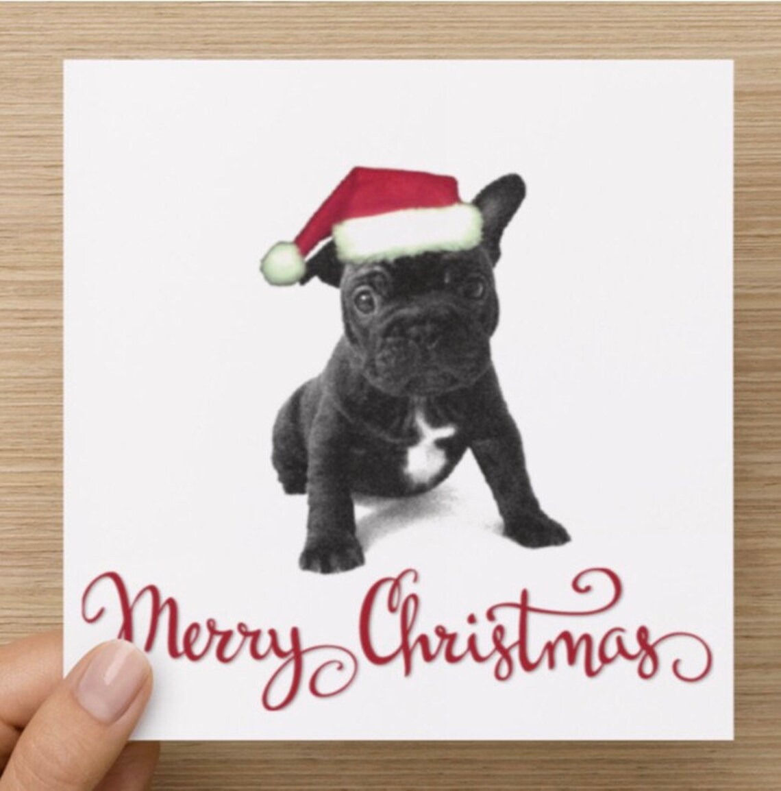 Cute French Bulldog Puppy Christmas Card | Etsy