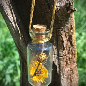 Puede incluir: Una pequeña botella de vidrio con un tapón de corcho, llena de una flor amarilla y una mariquita negra y amarilla. La botella cuelga de una cuerda marrón.