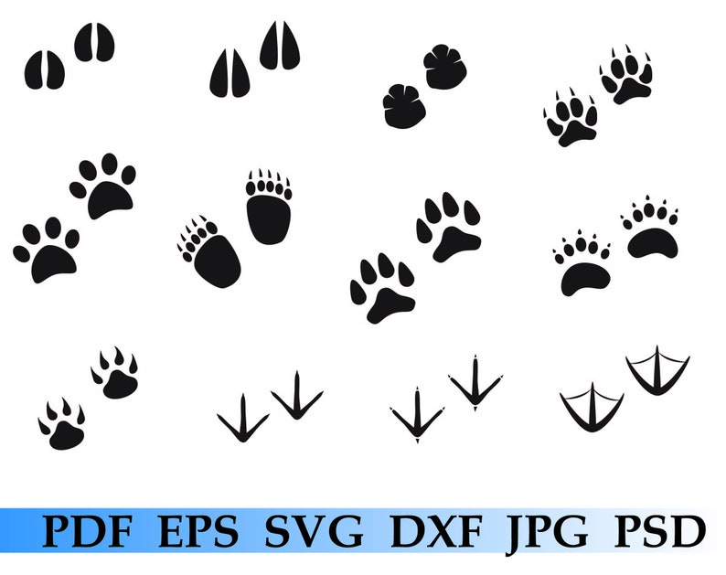 Download Store Graphics Png Zoo Svg Animal Tracks Zoo Animals Svg Bundle Zoo Animals Clipart Eps Awb 1 13 Cut Files For Cricut Silhouette Dxf Animals Svg Graphic Design