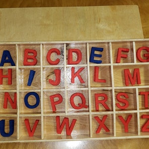 Montessori Movable Alphabet - Movable Alphabet, Lowercase OR Uppercase Felt Letters - Early Childhood English