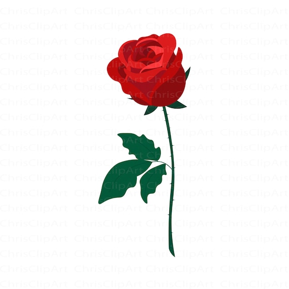 RED ROSE SVG Red Rose Clipart Rose Svg Red Rose Png Rose Etsy New Zealand