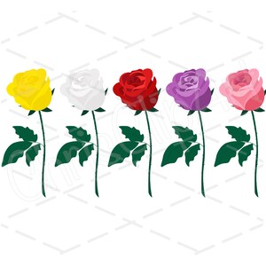 Rose SVG PNG JPG - Bundle of 5 Roses - Rose Sublimation - Rose Cricut - Roses Clipart - Rose Vector - Roses Printable