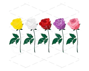 Clipart de rosas: paquete de 5 rosas, flores SVG, PNG y JPG (descarga digital)