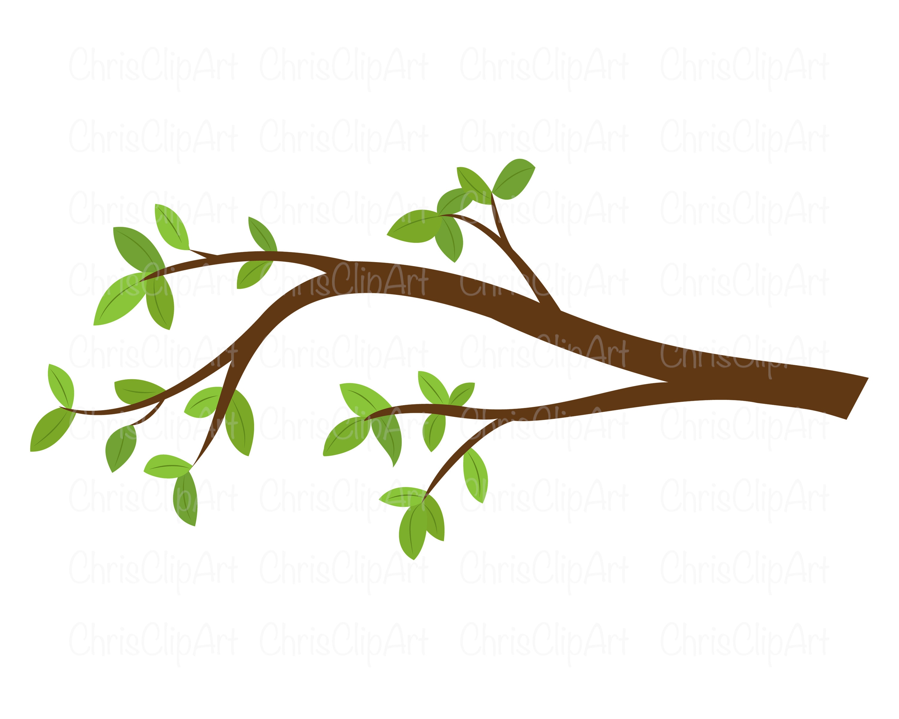 tree branch png