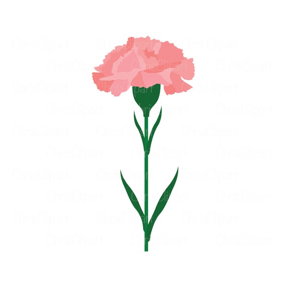 CLAVEL SVG flor de clavel svg clipart de clavel clavel png Etsy México