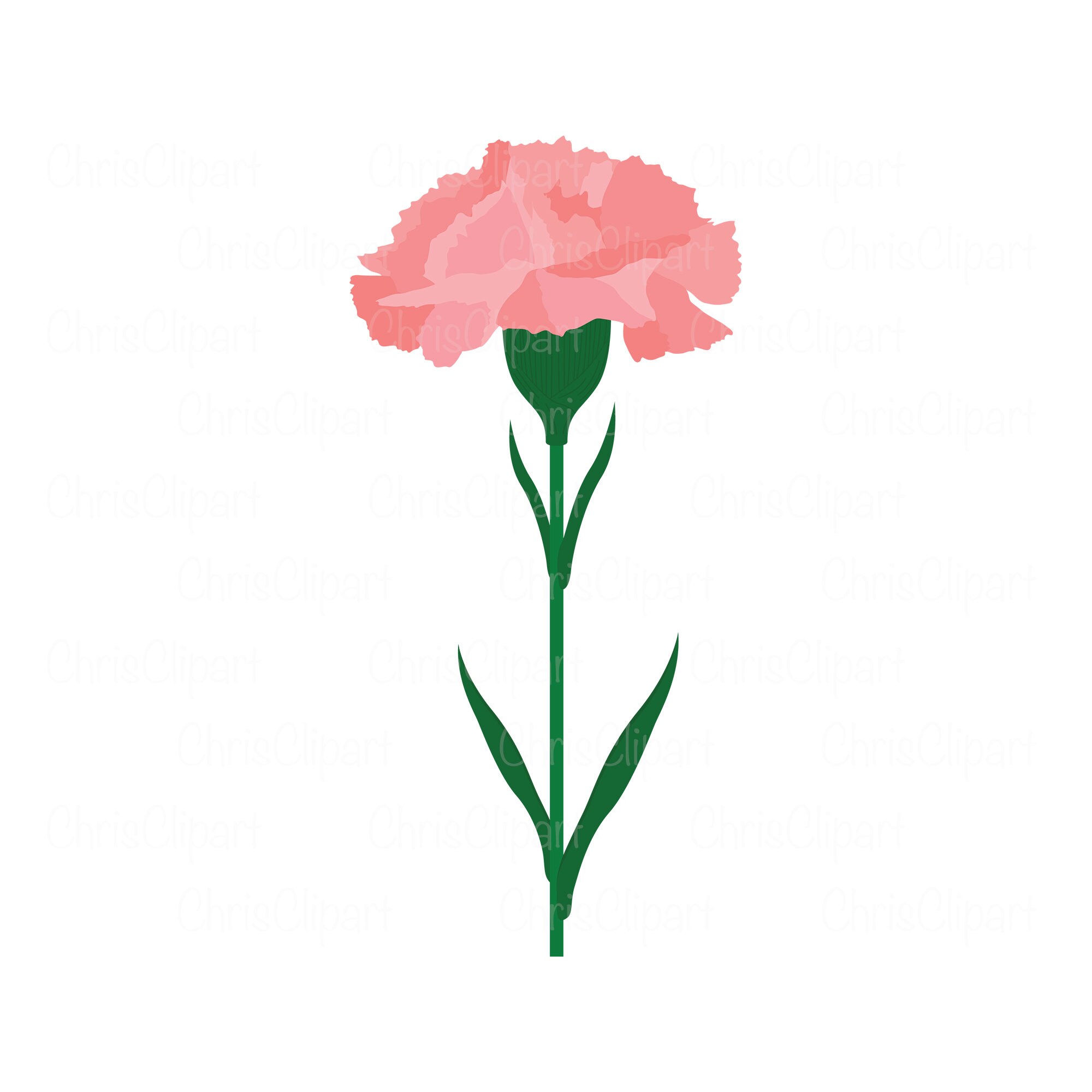 CARNATION SVG carnation flower svg carnation clipart Etsy