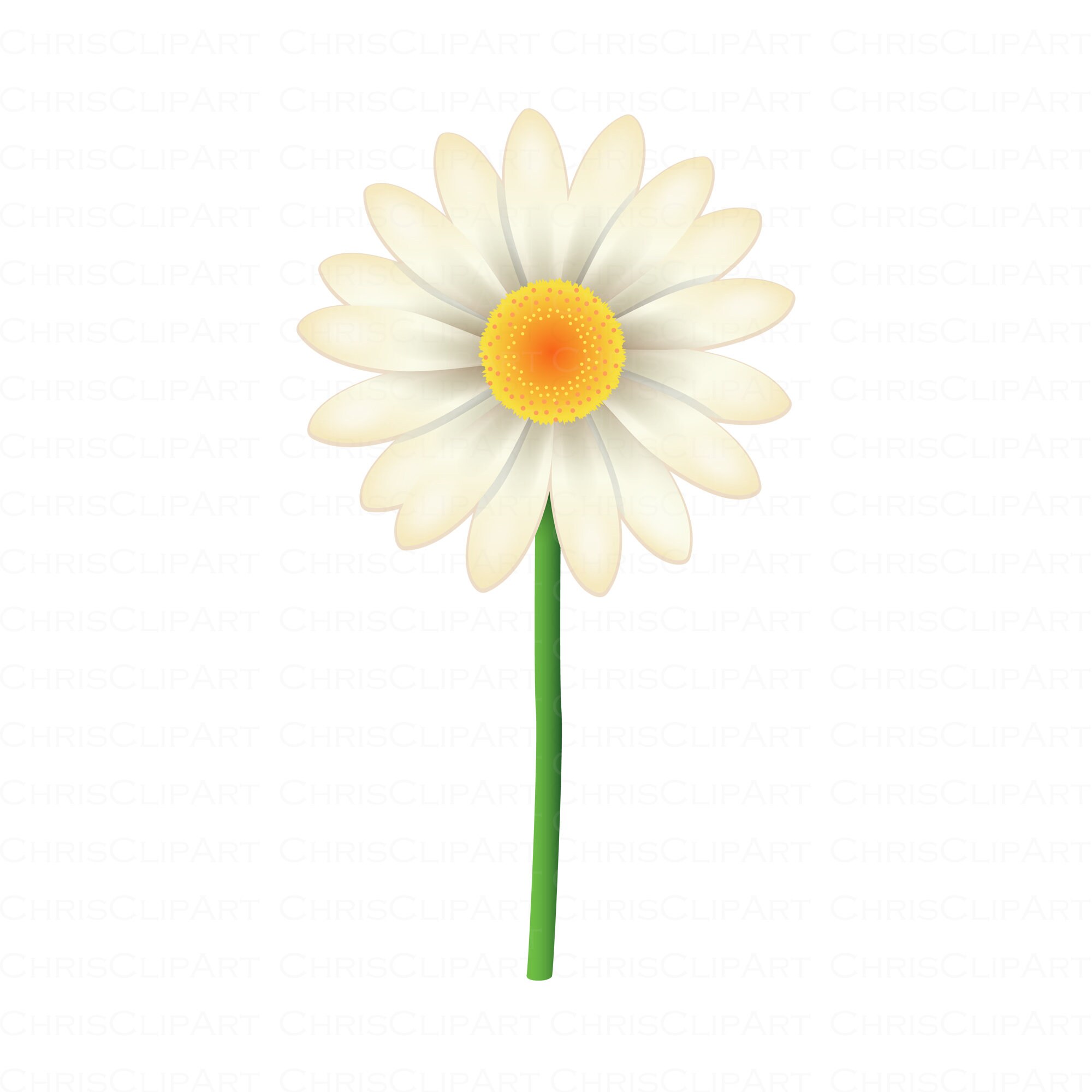 Download Daisy Vector Daisy Clipart Daisy Png Daisy Svg White Etsy