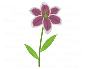 Lirio svg, clipart de lirio, lirio Stargazer, lirio png, lirios svg, flor svg, vector de lirio, lirio Cricut