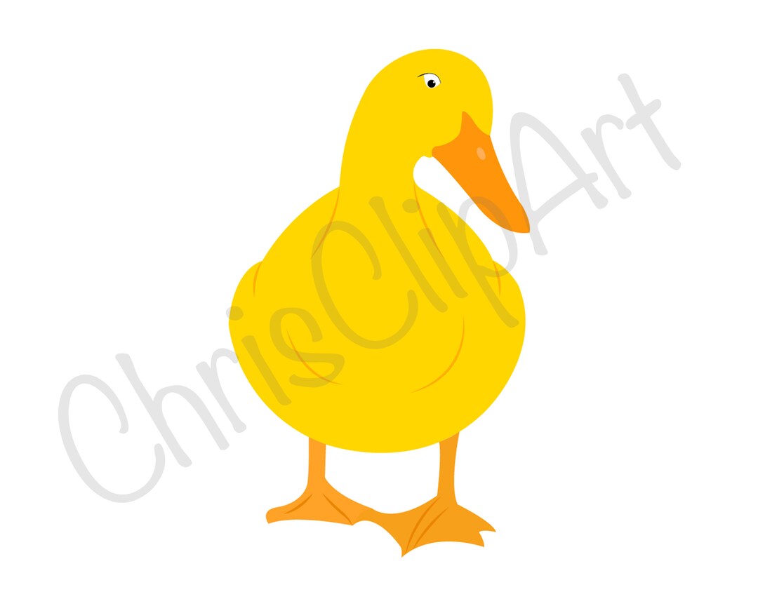 Duck Png Duck Svg Duck Clipart Duck Sublimation Duck Etsy Singapore