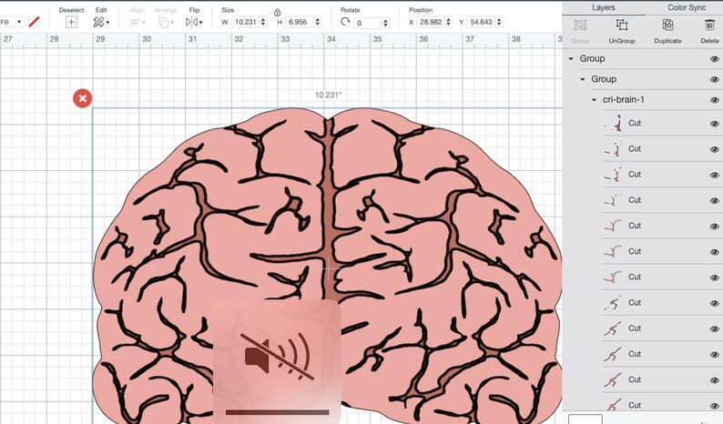brains brain jpg brain vector BRAIN SVG brain png clipart brain