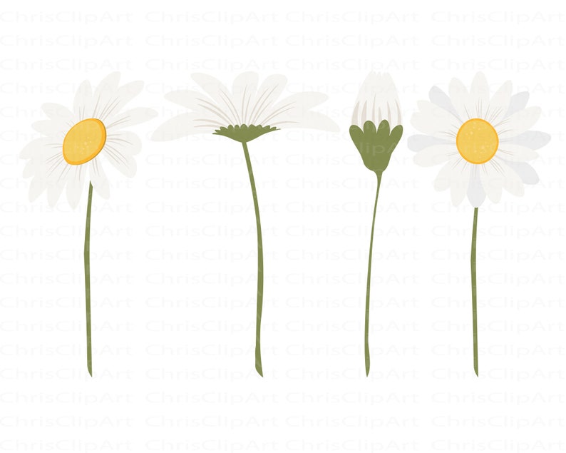 Free Free 174 Cricut Daisy Flower Svg SVG PNG EPS DXF File