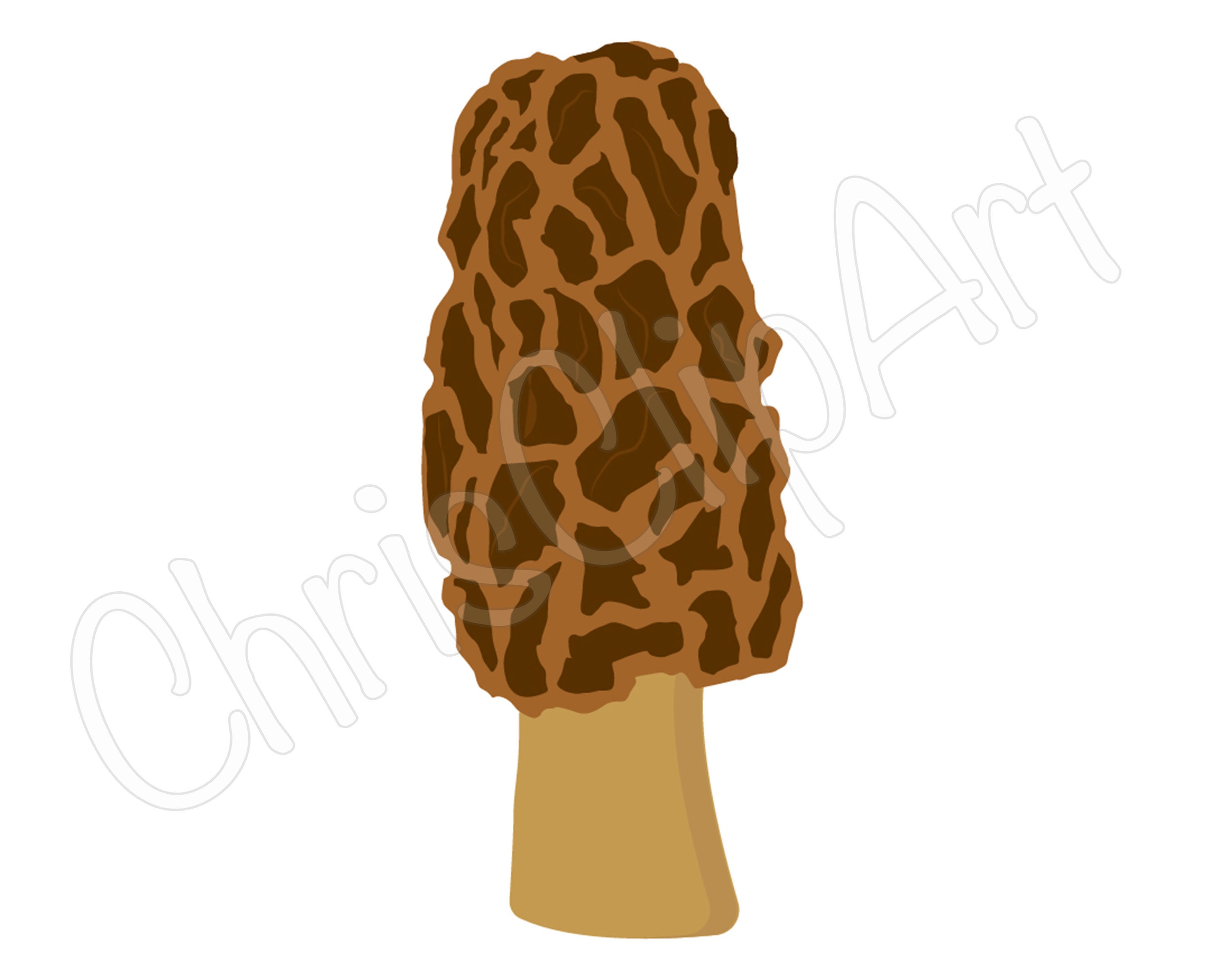 MOREL MUSHROOM SVG Morel Mushroom Png Morel Svg Mushroom Etsy UK
