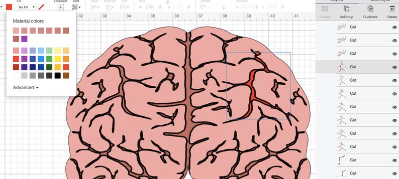 brains brain jpg brain vector BRAIN SVG brain png clipart brain