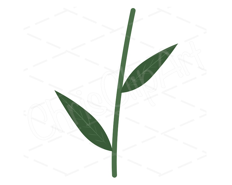 Puede incluir: Un solo tallo verde con dos hojas que se extienden desde el tallo. Las hojas son de un tono de verde m&aacute;s oscuro que el tallo.