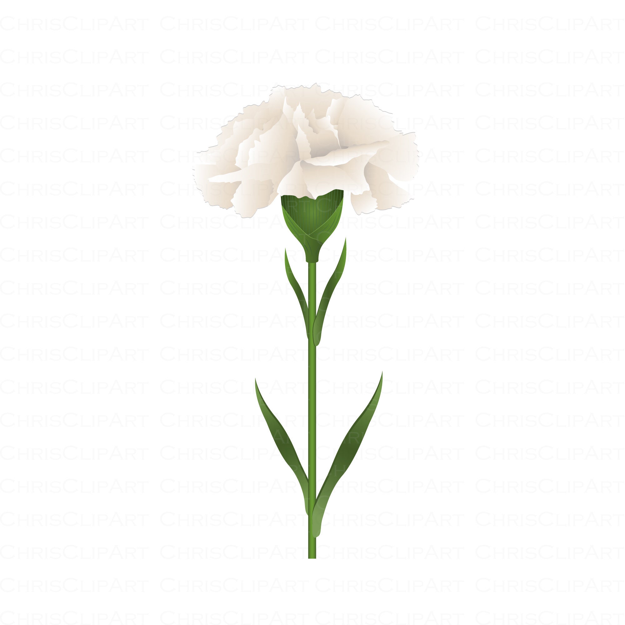 CARNATION SVG Carnations Svg Svg Flowers Carnation Flower Etsy Canada