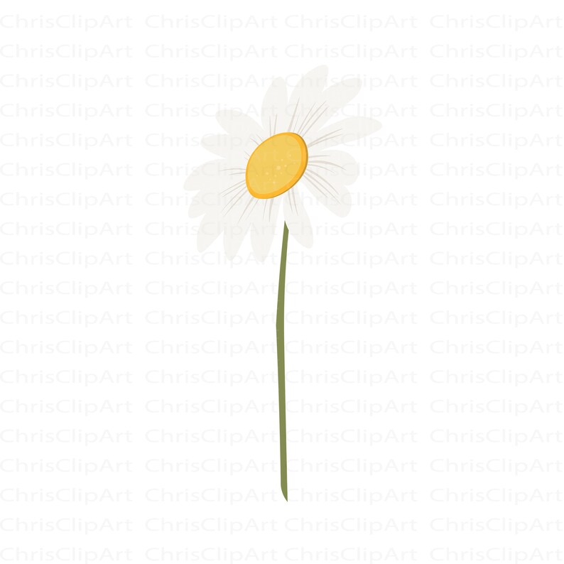 daisy clipart flower clipart flower svg flower vector Daisy svg Cricut daisy Cricut flower daisy vector daisies svg daisy graphic