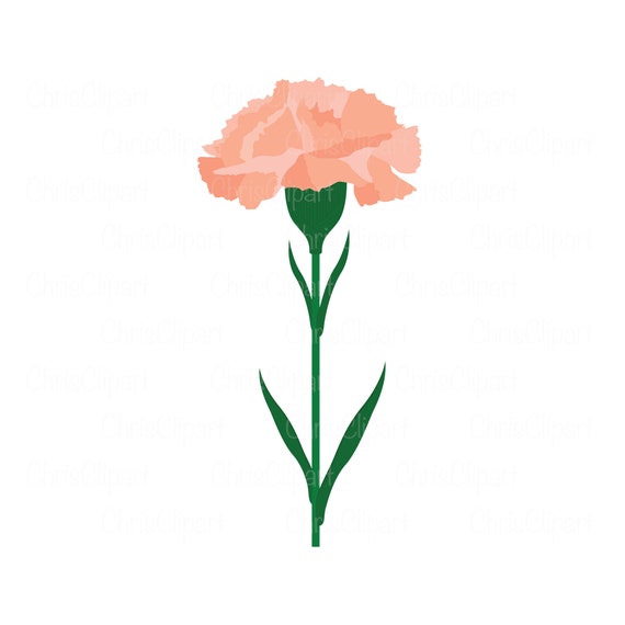 Blue Carnations Clipart