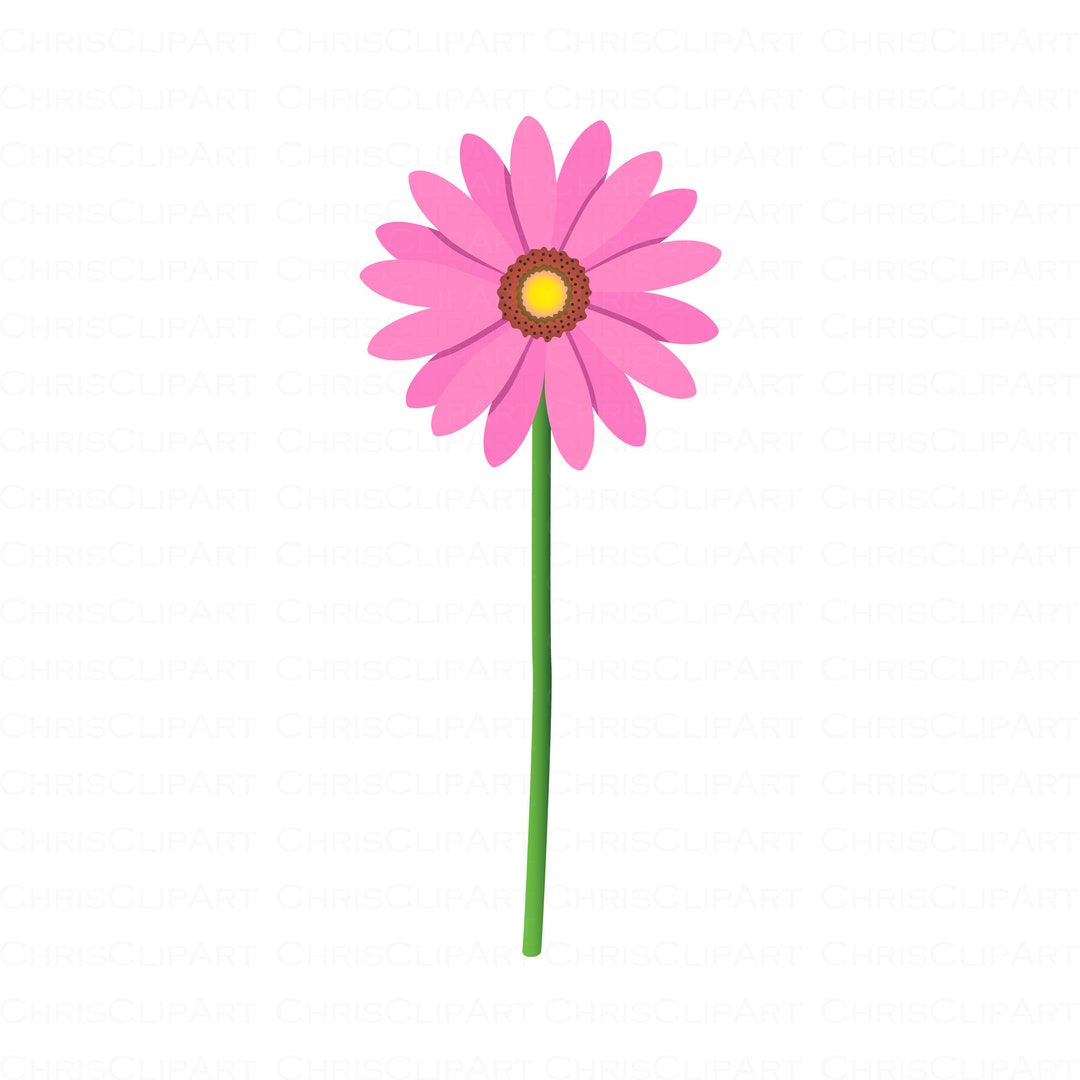 Pink Daisy Svg Daisy Clipart Pink Flower Svg Pink Flowers - Etsy