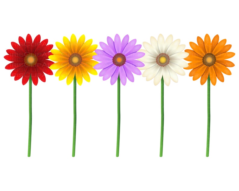Download Clipart Flowers Svg Daisy Svg Bundle Daisies Svg Clipart Daisies Paper Party Kids Papercraft Deshpandefoundationindia Org
