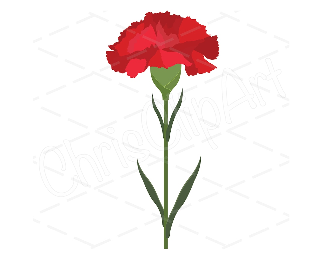 Carnation SVG PNG JPG - Carnation Sublimation - Carnation Clipart ...