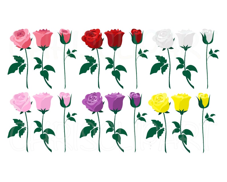Rose SVG Bundle Roses Vector PNG JPG Graphic Clipart for - Etsy