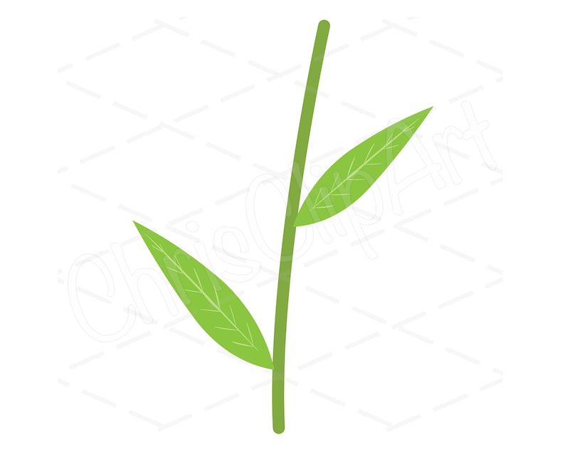 Puede incluir: Una planta verde simple con dos hojas y un solo tallo.