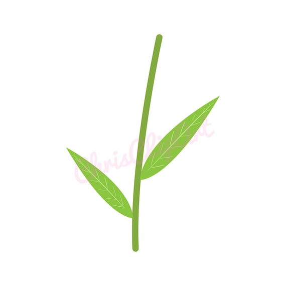 FLOWER STEM CLIPART Flower Stem Svg Flower Stem Png Flower Etsy