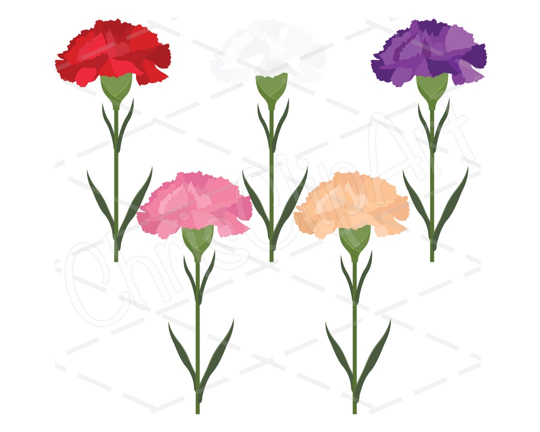 Carnation SVG PNG JPG - Bundle of 5 Colors - Carnation Sublimation ...